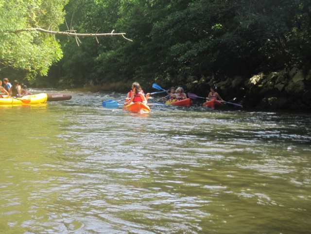  Descent of the Leyre in a canoe and kayak 
